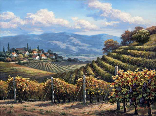 Vineyard Village